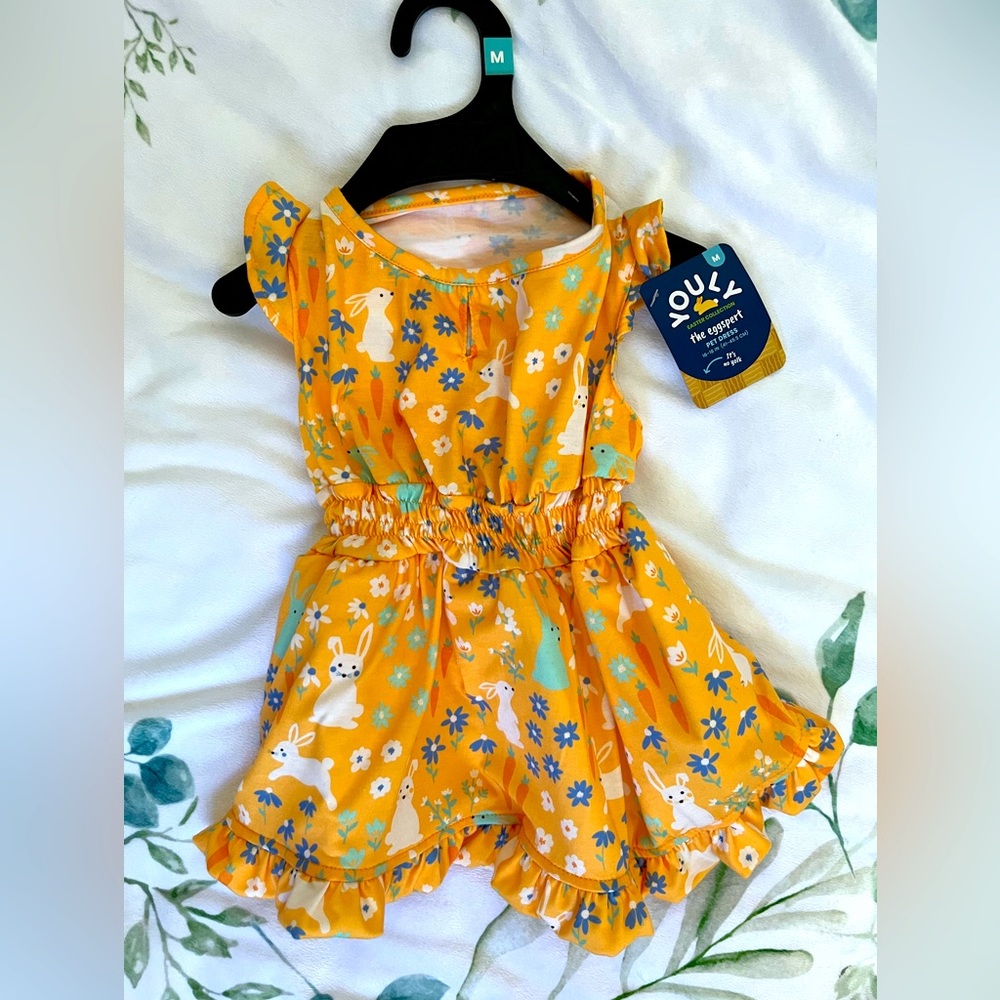 This is a brand new pet dress.